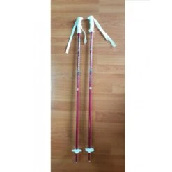 Rossignol Coppia Bastoncini Sci FUN GIRL, Bambina - Art. RDE6000